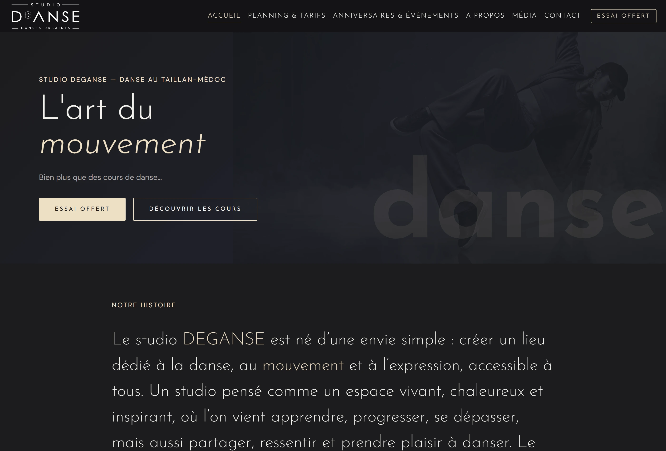 Page d'accueil du site Studio DEGANSE